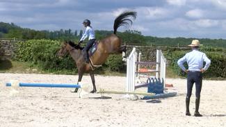 Sérénité du cavalier et qualité de saut chez le cheval