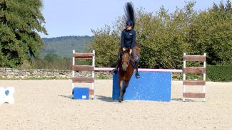 Séance d'obstacle avec un jeune cheval de 5 ans