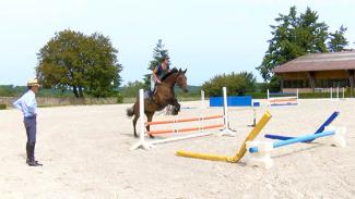 Education du jeune cheval à l'obstacle . Vidéo 1