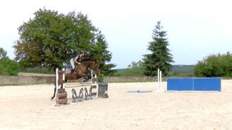 Education du jeune cheval à l'obstacle . Vidéo 2