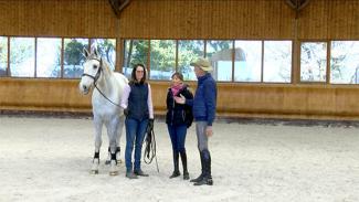 Optimisez la locomotion et les performances de votre cheval . Video 1