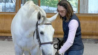 Optimisez la locomotion et les performances de votre cheval . Video 3