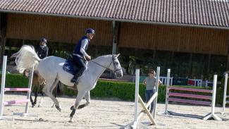 Stimuler la participation du cheval dans les exercices