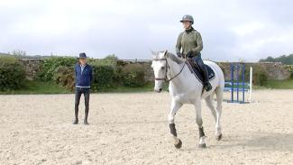 Mise en main et confort du cheval . Vidéo 1