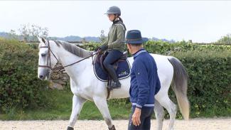 Mise en main et confort du cheval . Vidéo 1