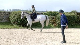 Mise en main et confort du cheval . Vidéo 2