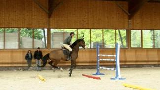 La leçon de Pierre : La régularité du galop à l'abord des obstacles