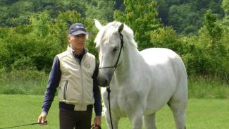 Détente en longe et amélioration de la compréhension avec le cheval