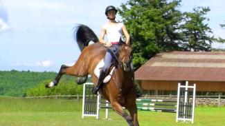 Comment gérer le comportement d'un cheval un peu trop frais...