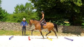 Développer l’amplitude et la propulsion du cheval