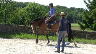 Position du cavalier et finesse des actions