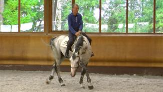 Respecter et améliorer le fonctionnement du dos chez le cheval