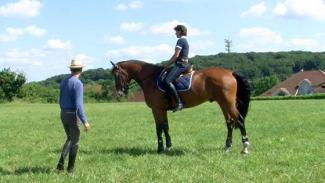 La leçon de Véronique et Blue Bird 1