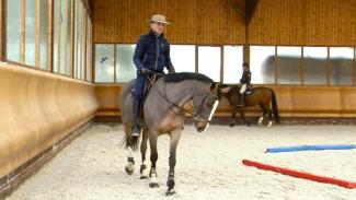 Conduire son cheval dans la légèreté et la précision - 1ère partie