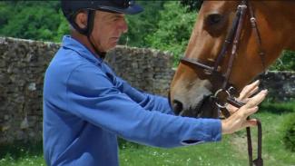 Apprentissage du reculer chez un jeune cheval