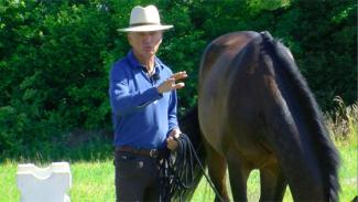 Stimuler la coordination des mouvements et l’équilibre du cheval