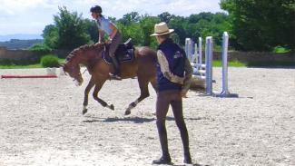 Contrôle du galop et équilibre du jeune cheval