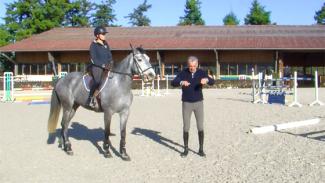 Améliorer le style du jeune cheval à l'obstacle