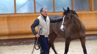 Travailler dans le sens du cheval pour concilier exigence et compréhension 