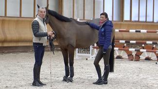 Travailler dans le sens du cheval pour concilier exigence et compréhension 