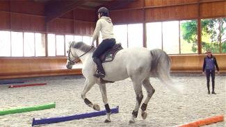 Contrôle de l’allure en harmonie avec la locomotion du cheval