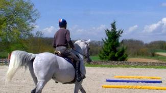 Anticipation des actions et amélioration du galop