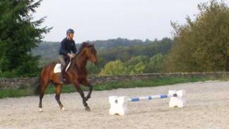 Abord et variations d'amplitude au galop