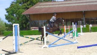 Rectitude du cheval sur une ligne d’obstacles