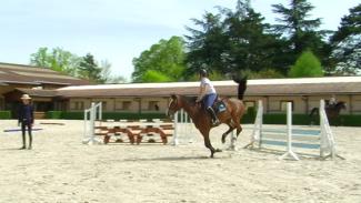 Connexion et disponibilité du cheval à la réception des obstacles