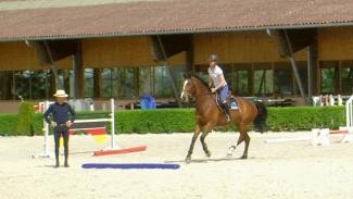 Développer la force du cheval à l’abord des obstacles