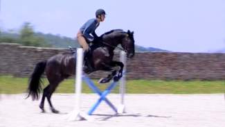 Etalonner et apprendre à compter ses foulées à l'obstacle