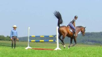 Exercice sur une figure de dressage