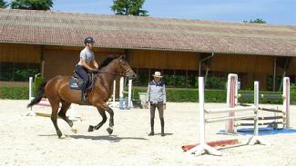 Comment améliorer la technique de saut d’un jeune cheval