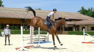 Comment améliorer la technique de saut d’un jeune cheval