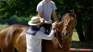 Exercice de mise en confiance du cheval et du cavalier à l’obstacle