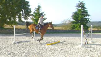 Ligne de gymnastique pour le cheval et le cavalier