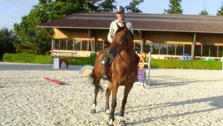 Ligne de gymnastique pour le cheval et le cavalier