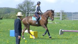 Entraînement à la compétition sur un parcours de cavalettis