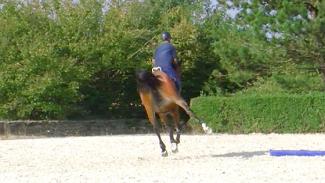 Conserver un galop de qualité dans les tournants