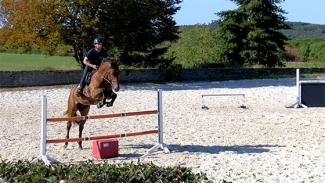Trois exercices pour améliorer la technique de saut et le mental du jeune cheval