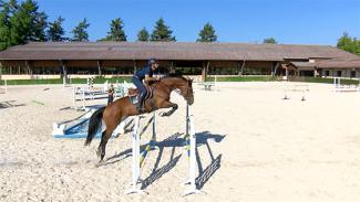 Trois exercices pour améliorer la technique de saut et le mental du jeune cheval