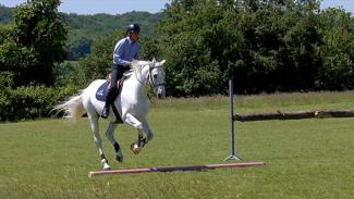 Equilibre et propulsion sur un exercice de barres au sol