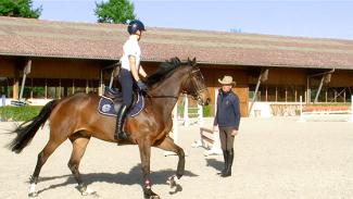 Préparation au parcours : contrats de foulées et régularité du galop