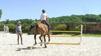 Régularité du galop et contrôle du tracé à l’obstacle