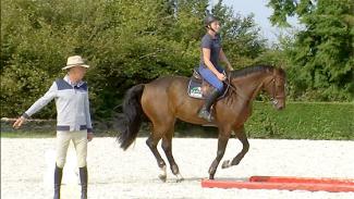 Equilibre du cavalier et du cheval dans les tournants