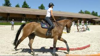 Travailler la rectitude du cavalier et du cheval - Exercice phase 1