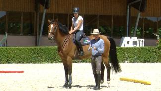 Travailler la rectitude du cavalier et du cheval - Exercice phase 1