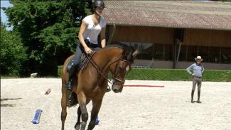 Travail sur la rectitude du cavalier et du cheval - Exercice phase 2