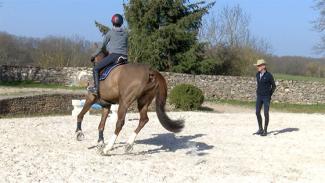 Développer une relation de confiance entre la main du cavalier et la bouche du cheval