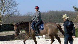 La main appartient à la bouche du cheval